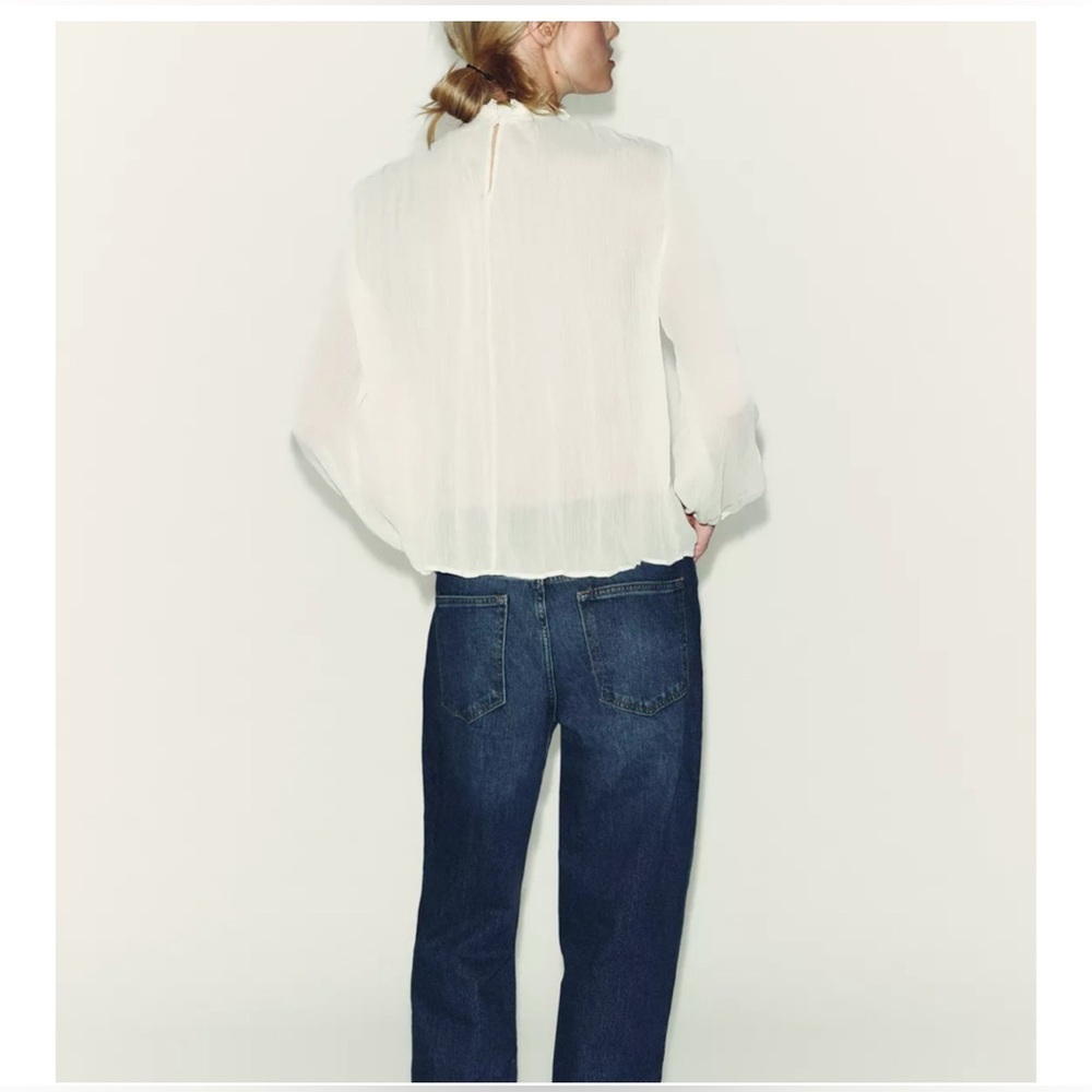 Zara Zara COTTON GAUZE LACE TRIM RUFFLED BLOUSE - Picture 2 of 3